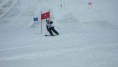 /album/galleria-foto-trofeo-topolino/p1160389-jpg/